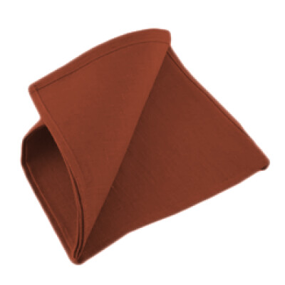 Dimension Rust Napkin