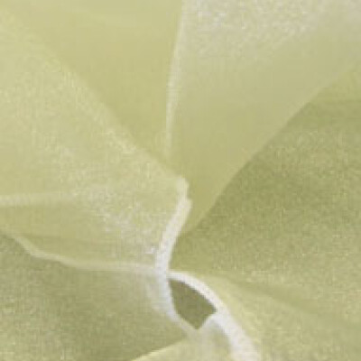 Organza