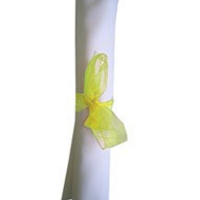 Organza Ribbon Bows Lemon