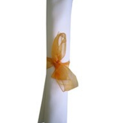 Organza Ribbon Bows Orange