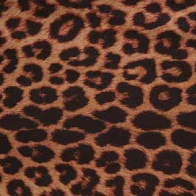 Animal Print Leopard